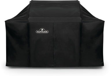 Napoleon LEX 605 & Charcoal Professional Grill Cover