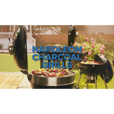 Napoleon Professional 18" Charcoal Kettle Grill