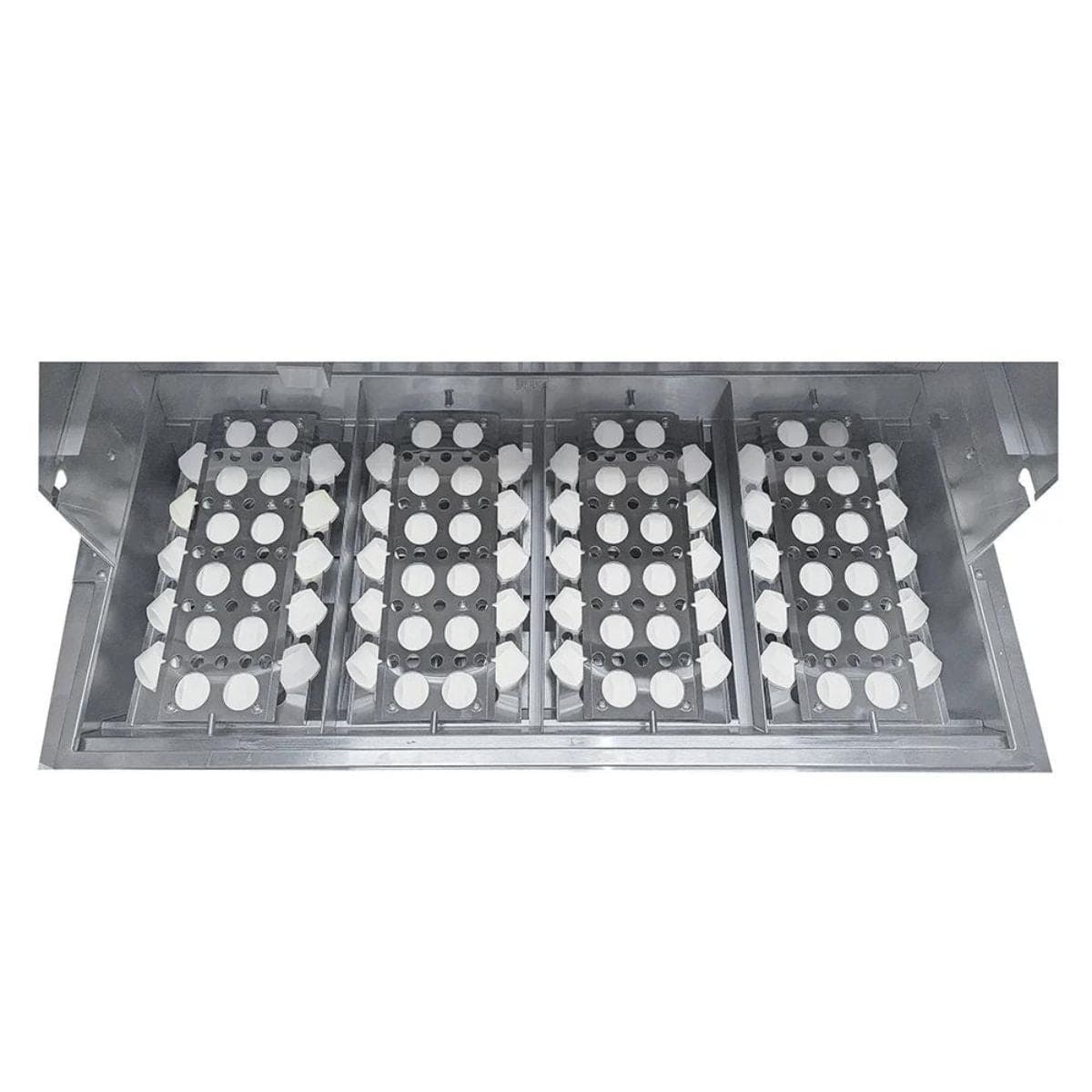 Dual Internal Halogen Lights